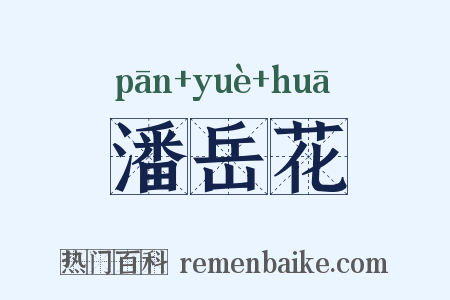 潘岳花是什么意思的图片